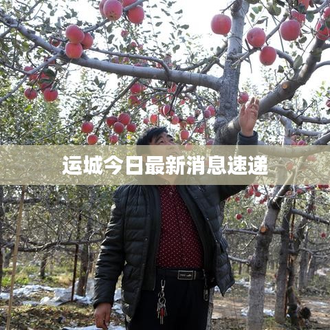 运城今日最新消息速递