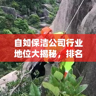 自如保洁公司行业地位大揭秘,排名及影响力解析
