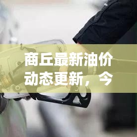 商丘最新油价动态更新，今日油价表及趋势图表展示
