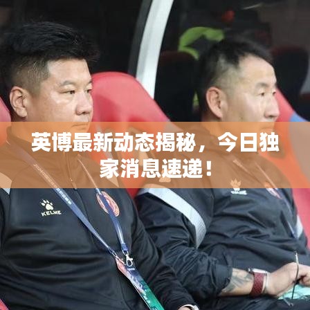 英博最新动态揭秘，今日独家消息速递！