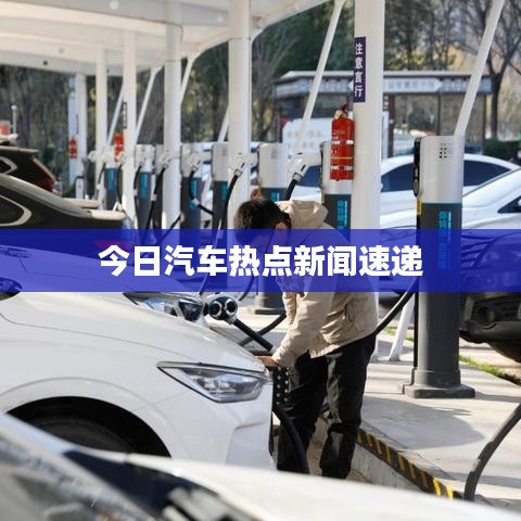 今日汽车热点新闻速递