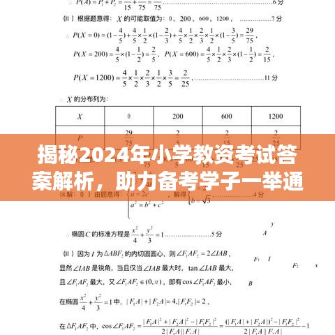 揭秘2024年小学教资考试答案解析,助力备考学子一举通关!