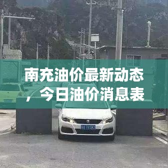 南充油价最新动态,今日油价消息表及市场反应解析