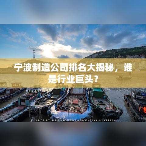 宁波制造公司排名大揭秘,谁是行业巨头?