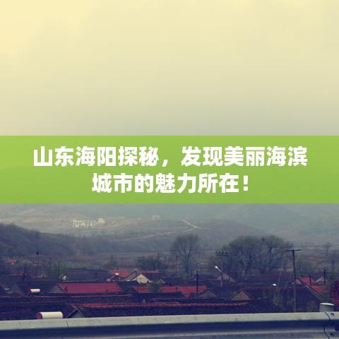 山东海阳探秘，发现美丽海滨城市的魅力所在！