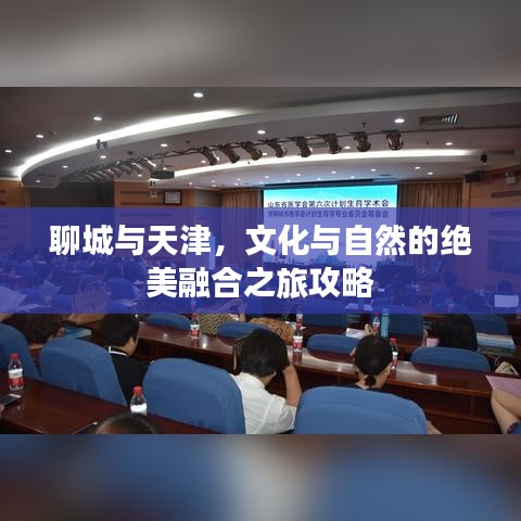 聊城与天津,文化与自然的绝美融合之旅攻略