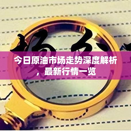 今日原油市场走势深度解析,最新行情一览