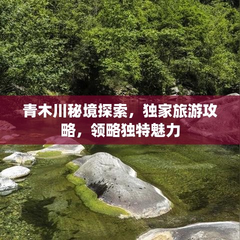 青木川秘境探索，独家旅游攻略，领略独特魅力