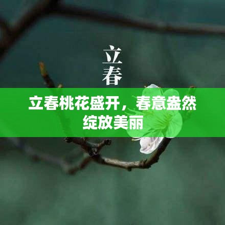 立春桃花盛开,春意盎然绽放美丽