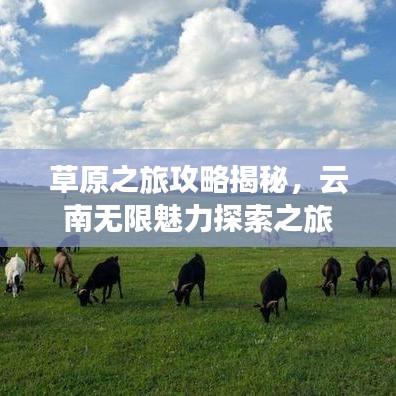 事必躬亲 第3页