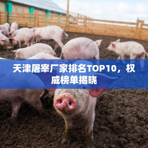 天津屠宰厂家排名TOP10,权威榜单揭晓