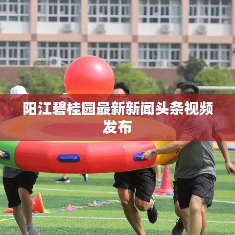 阳江碧桂园最新新闻头条视频发布