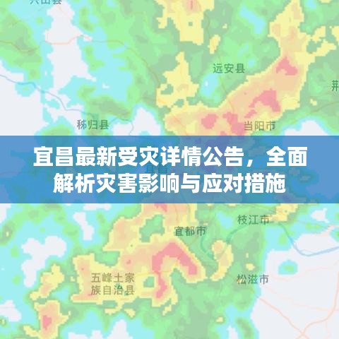 宜昌最新受灾详情公告，全面解析灾害影响与应对措施