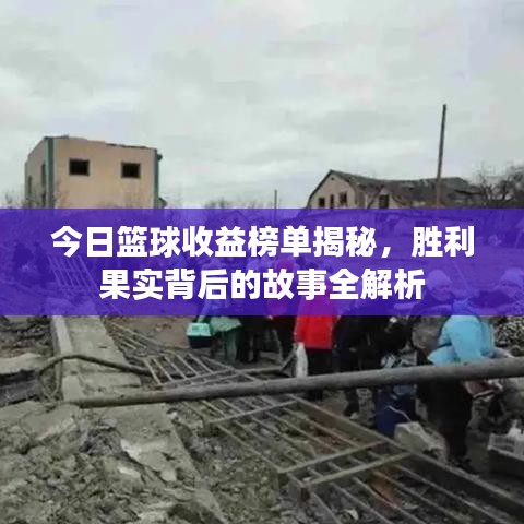 今日篮球收益榜单揭秘，胜利果实背后的故事全解析