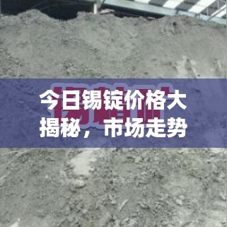 今日锡锭价格大揭秘，市场走势与专业分析
