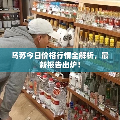 乌苏今日价格行情全解析，最新报告出炉！