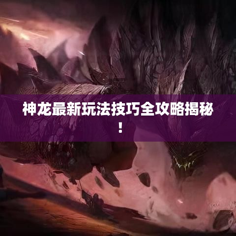 神龙最新玩法技巧全攻略揭秘！