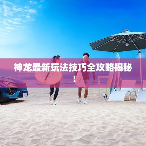 神龙最新玩法技巧全攻略揭秘!
