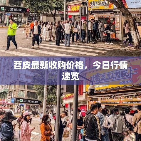苕皮最新收购价格，今日行情速览