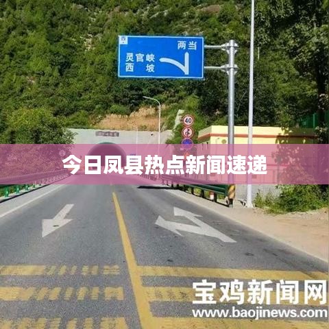 今日凤县热点新闻速递