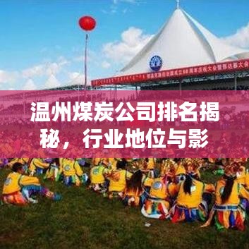 温州煤炭公司排名揭秘，行业地位与影响力分析
