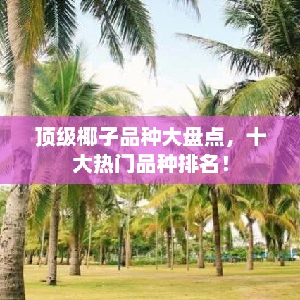 合作伙伴 第168页