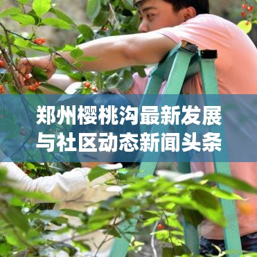 郑州樱桃沟最新发展与社区动态新闻头条