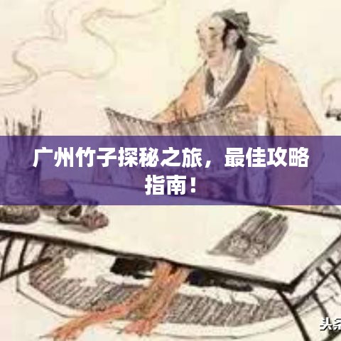 广州竹子探秘之旅，最佳攻略指南！