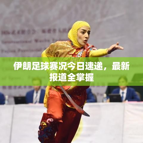 伊朗足球赛况今日速递,最新报道全掌握