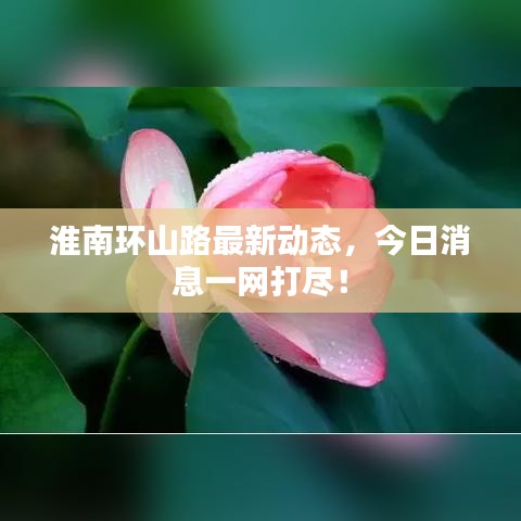 淮南环山路最新动态，今日消息一网打尽！