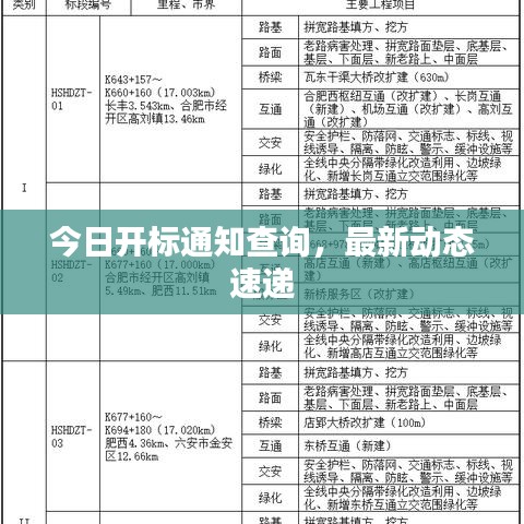 今日开标通知查询，最新动态速递