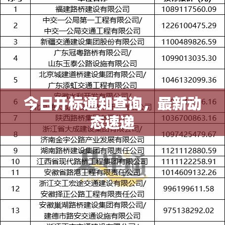 今日开标通知查询,最新动态速递
