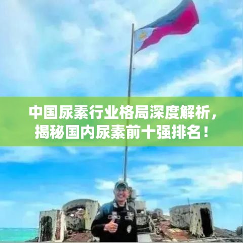 中国尿素行业格局深度解析，揭秘国内尿素前十强排名！