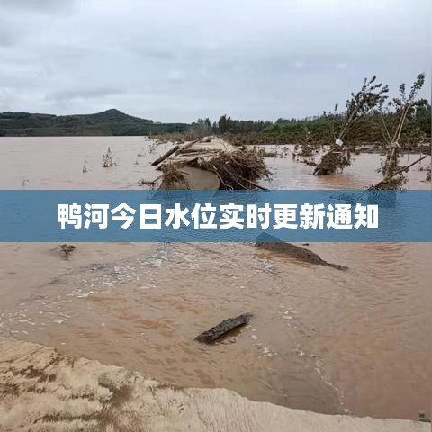鸭河今日水位实时更新通知