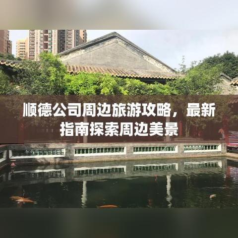 顺德公司周边旅游攻略，最新指南探索周边美景