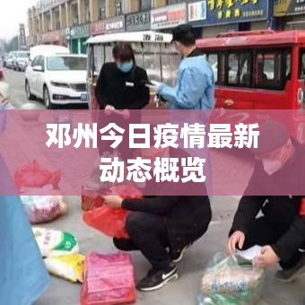 邓州今日疫情最新动态概览