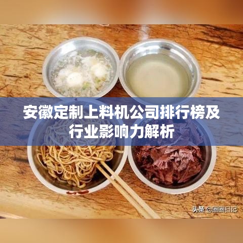 安徽定制上料机公司排行榜及行业影响力解析