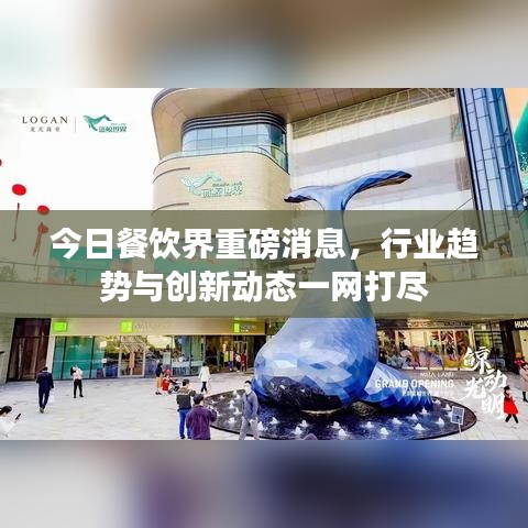 今日餐饮界重磅消息,行业趋势与创新动态一网打尽
