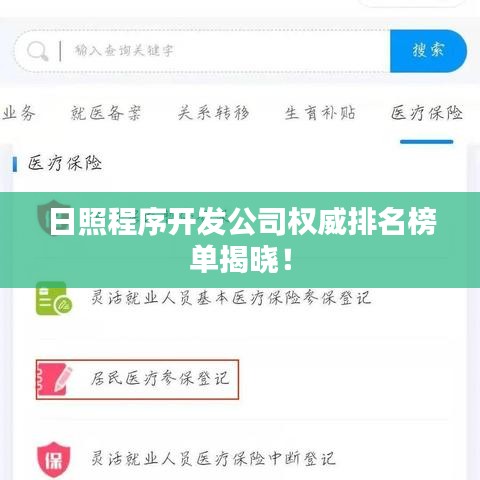 日照程序开发公司权威排名榜单揭晓!