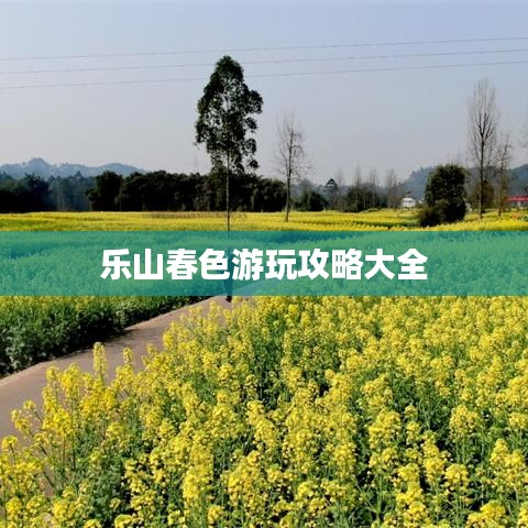乐山春色游玩攻略大全