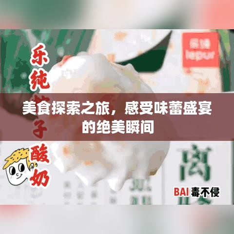 美食探索之旅，感受味蕾盛宴的绝美瞬间