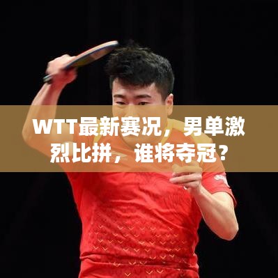 WTT最新赛况,男单激烈比拼,谁将夺冠?