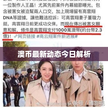 澳币最新动态今日解析