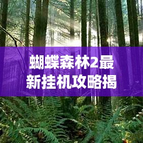 蝴蝶森林2最新挂机攻略揭秘！助你轻松登顶游戏！
