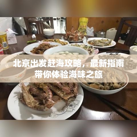 北京出发赶海攻略,最新指南带你体验海味之旅