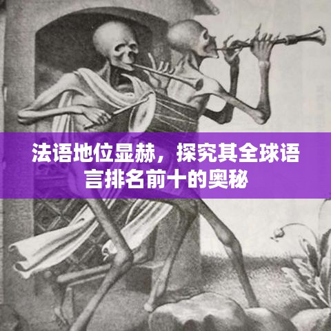 法语地位显赫,探究其全球语言排名前十的奥秘