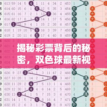 揭秘彩票背后的秘密，双色球最新视频发布今日运势预测