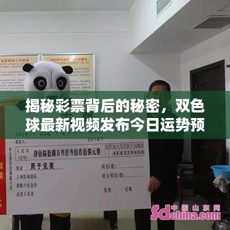 揭秘彩票背后的秘密,双色球最新视频发布今日运势预测