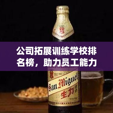 公司拓展训练学校排名榜，助力员工能力提升的关键选择指南