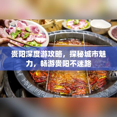 新闻动态 第151页